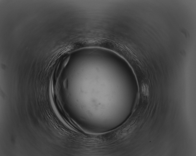 X0000090891300200708031044