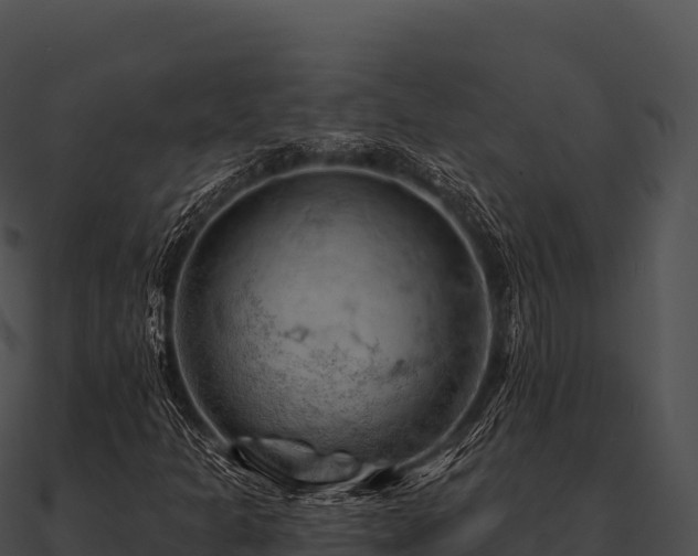 X0000090891301200708031044