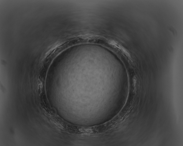 X0000090891302200708031044