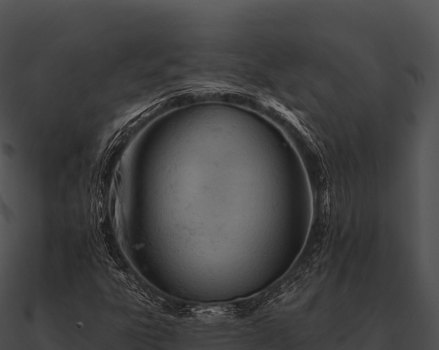 X0000090891303200708031044