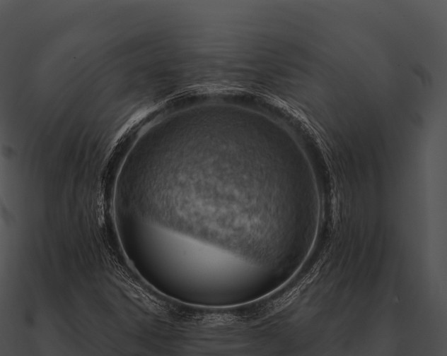 X0000090891306200708031044