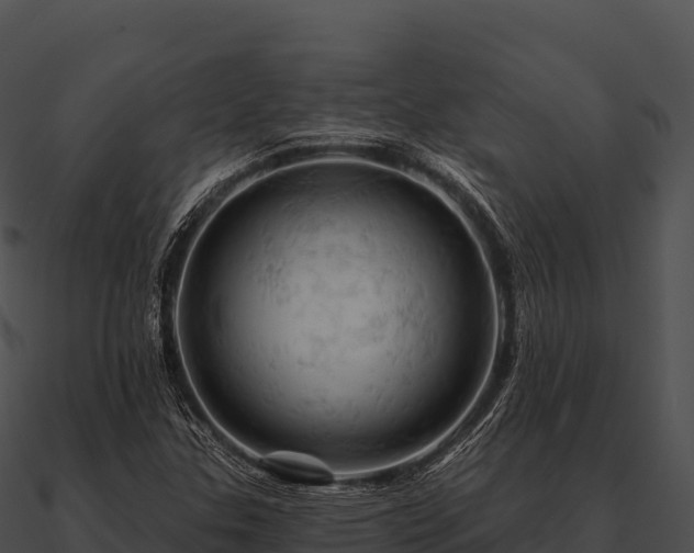 X0000090891307200708031044