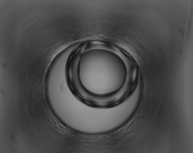 X0000090891308200708031044