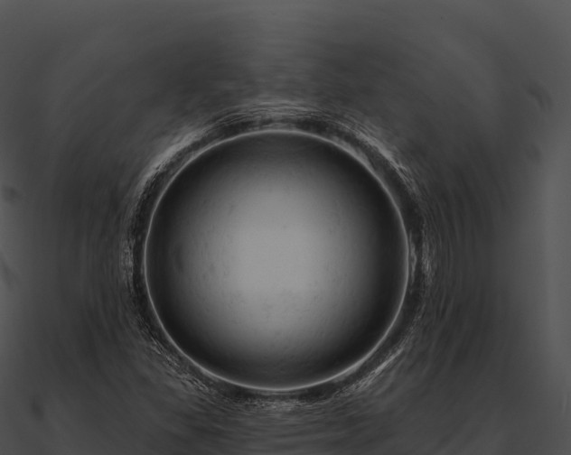 X0000090891309200708031044