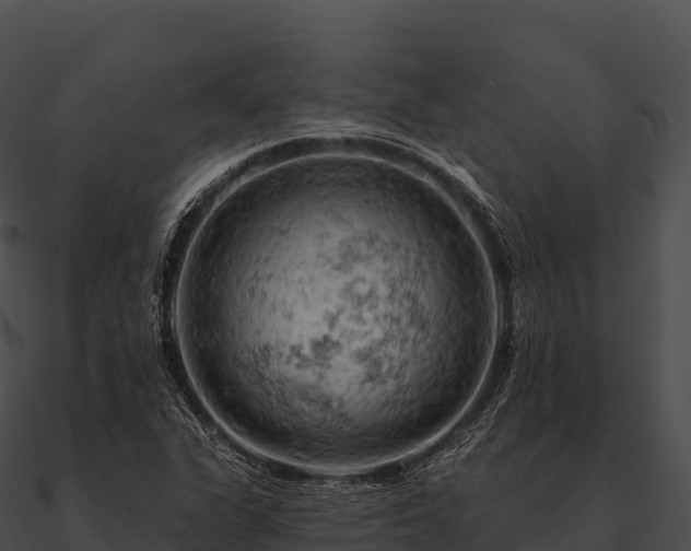 X0000090891311200708031044