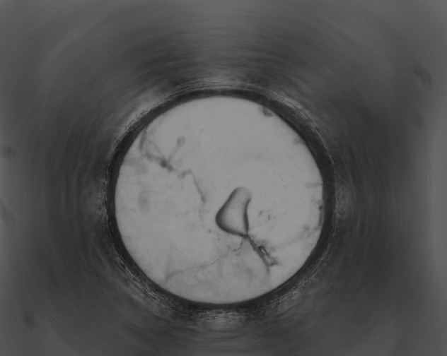 X0000090891314200708031044