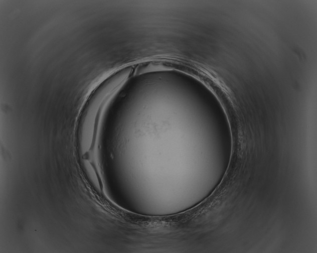 X0000090891316200708031044