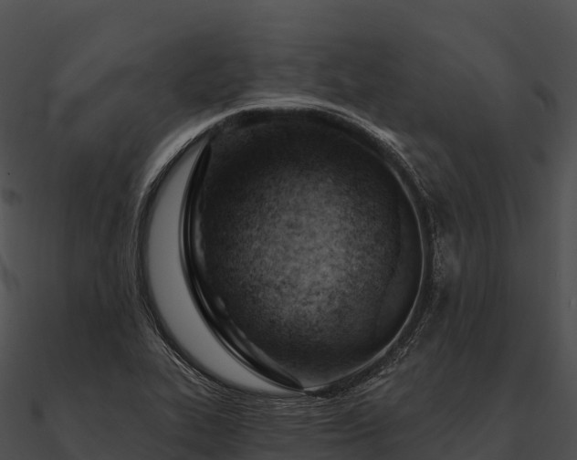 X0000090891319200708031044