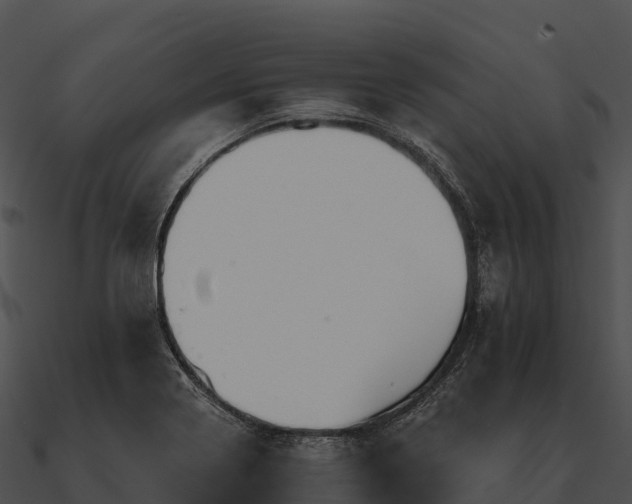 X0000090891322200708031044