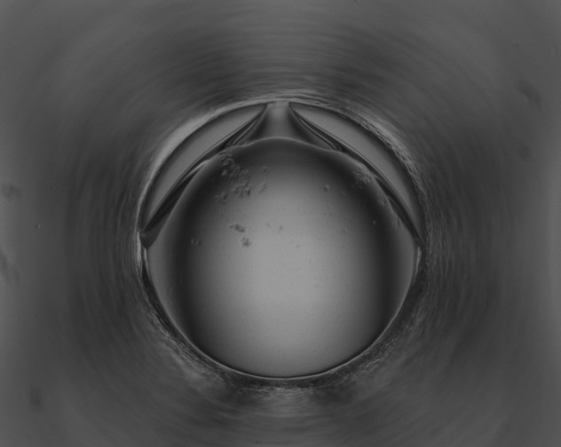 X0000090891324200708031044