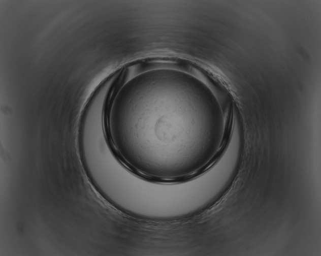 X0000090891326200708031044