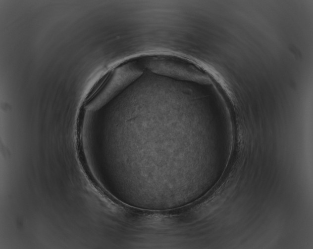 X0000090891327200708031044