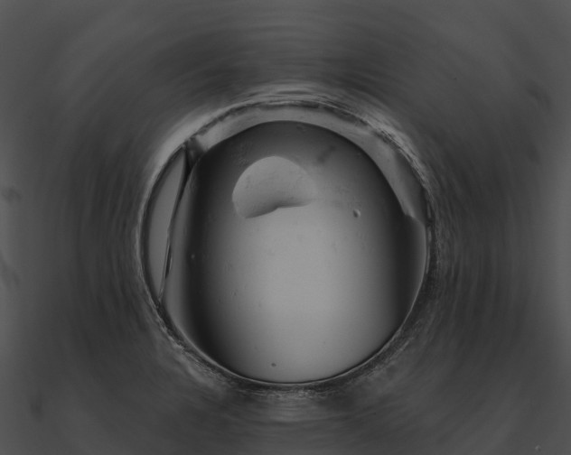 X0000090891328200708031044