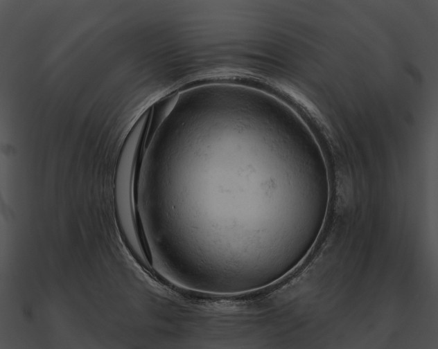 X0000090891329200708031044