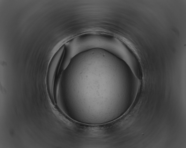 X0000090891330200708031044