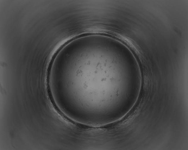 X0000090891331200708031044