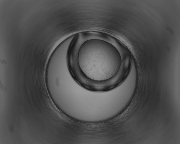 X0000090891332200708031044