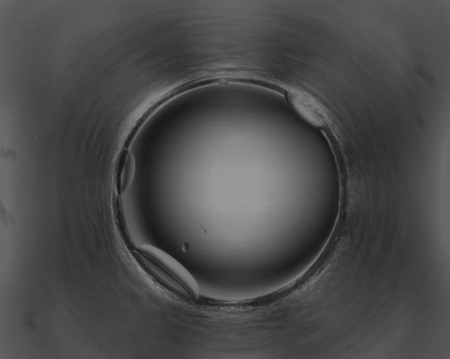 X0000090891333200708031044