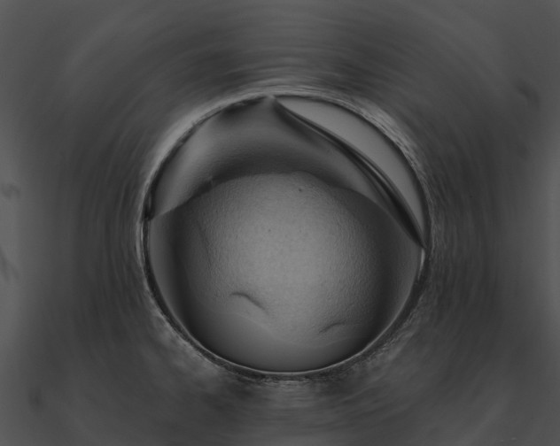 X0000090891334200708031044