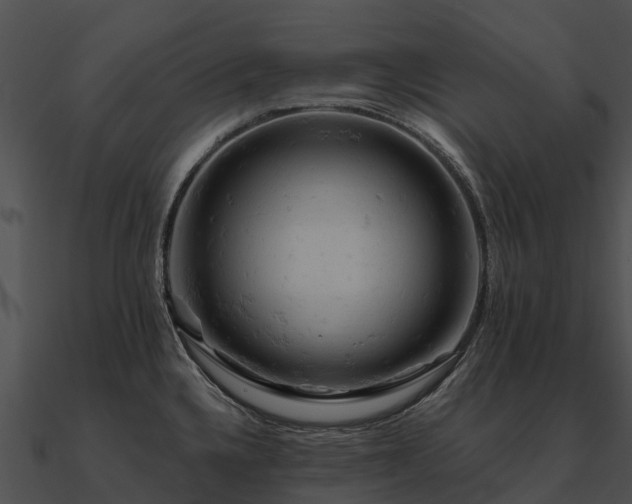 X0000090891336200708031044