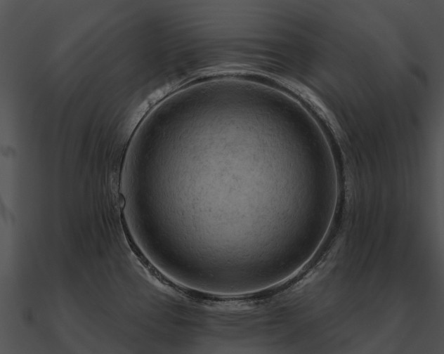 X0000090891337200708031044