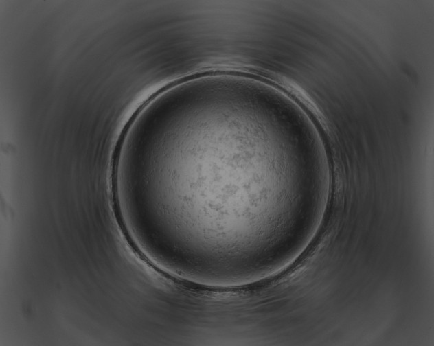 X0000090891339200708031044