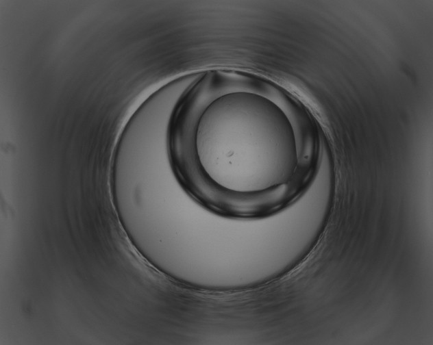 X0000090891340200708031044