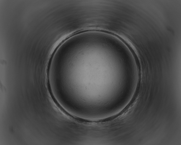 X0000090891341200708031044