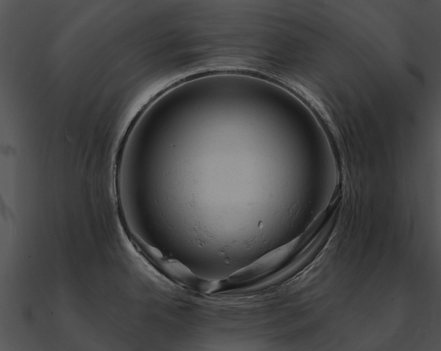 X0000090891342200708031044