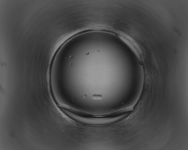 X0000090891343200708031044