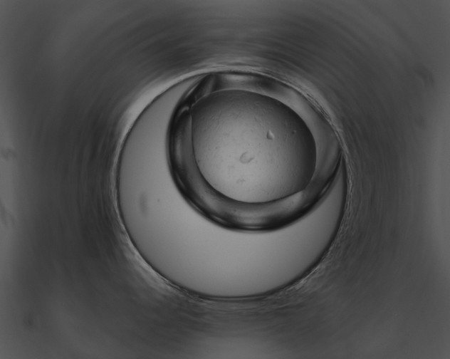 X0000090891344200708031044