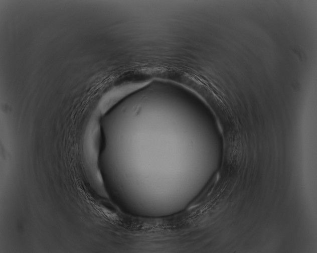 X0000090891345200708031044