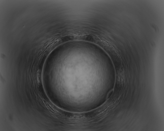 X0000090891346200708031044