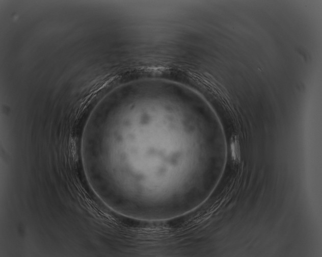 X0000090891347200708031044