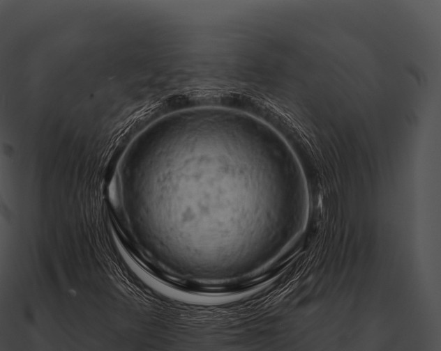 X0000090891348200708031044