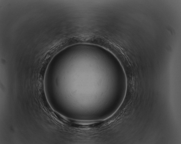 X0000090891349200708031044