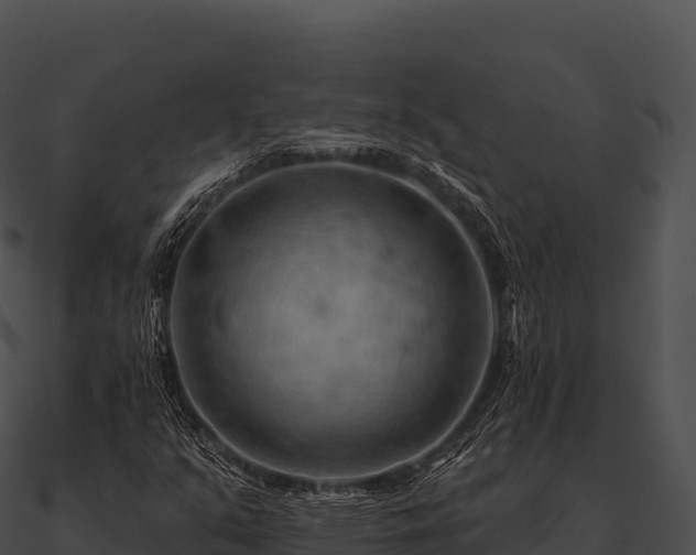 X0000090891351200708031043