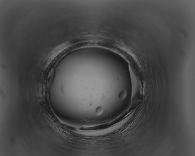 X0000090891352200708031043