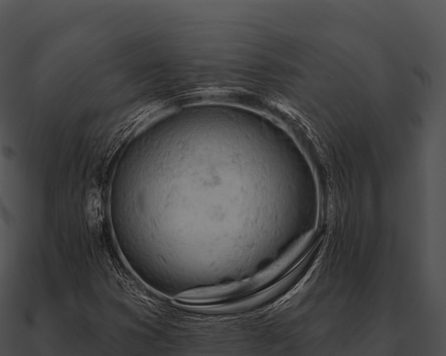 X0000090891353200708031043