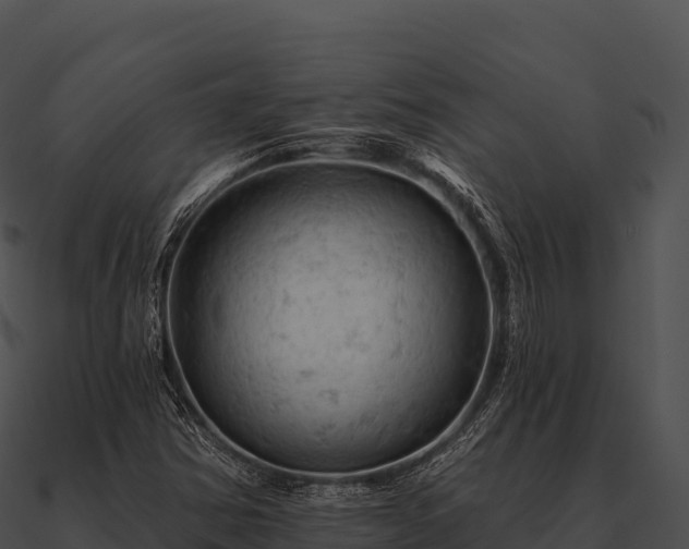 X0000090891354200708031043