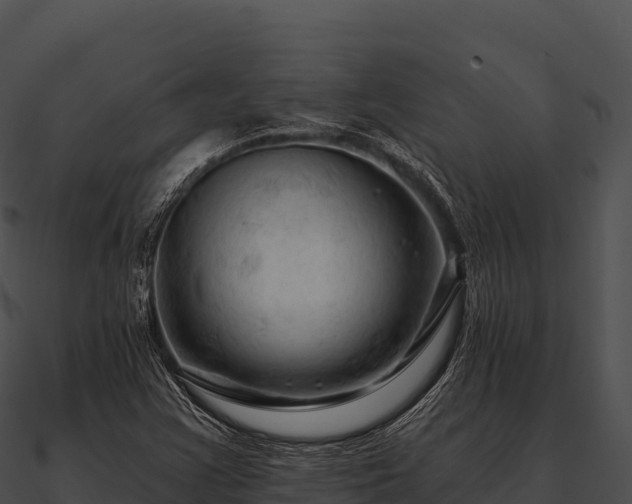 X0000090891355200708031043