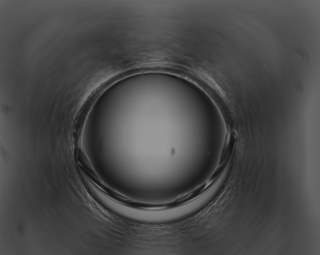 X0000090891356200708031043