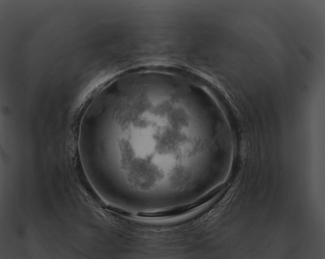 X0000090891359200708031043