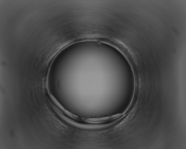 X0000090891361200708031043