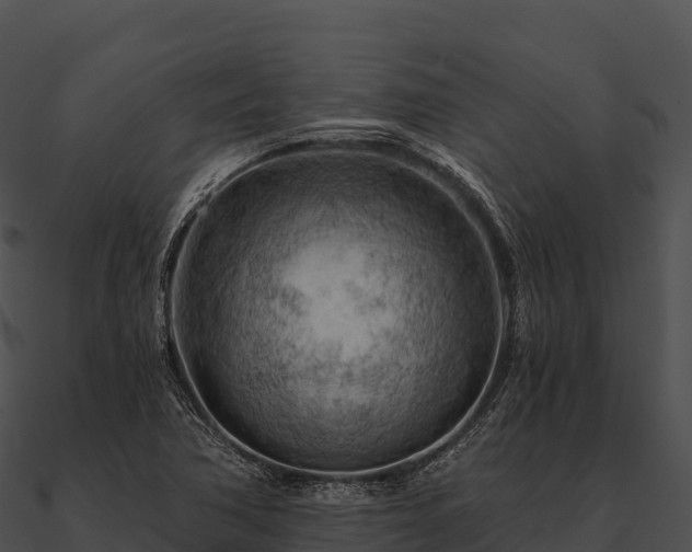 X0000090891362200708031043