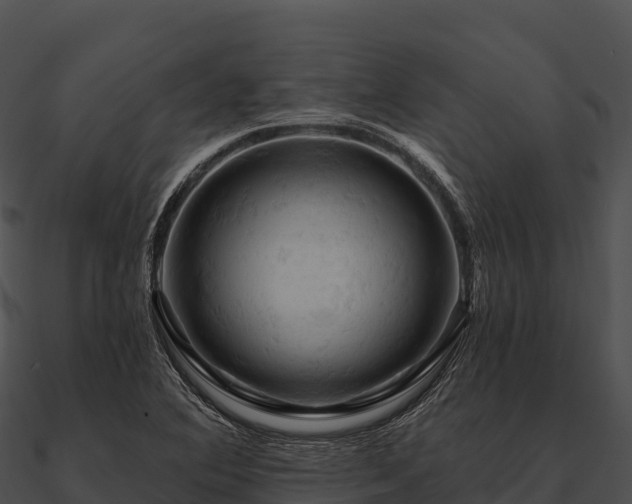 X0000090891364200708031043