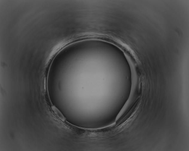 X0000090891365200708031043