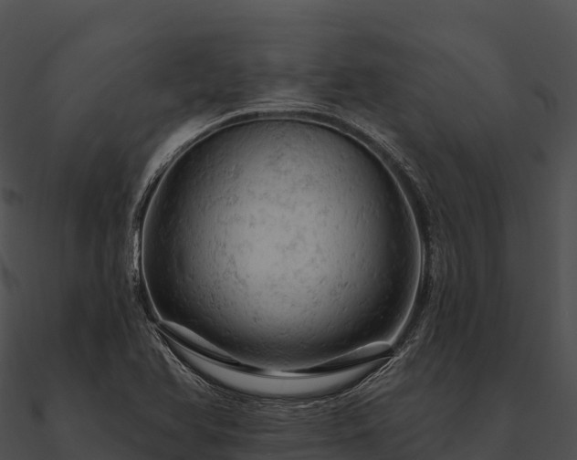 X0000090891366200708031043