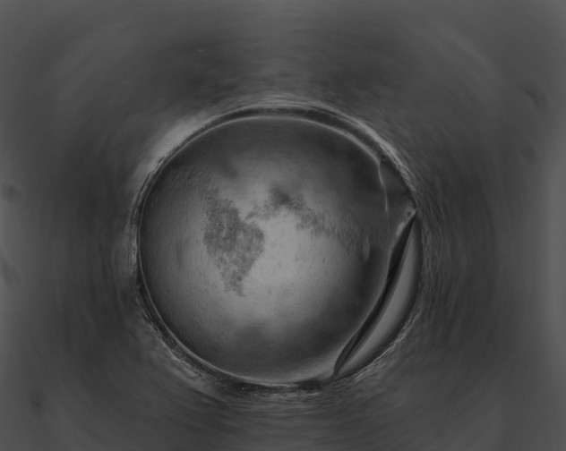 X0000090891367200708031043