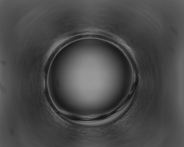 X0000090891368200708031043